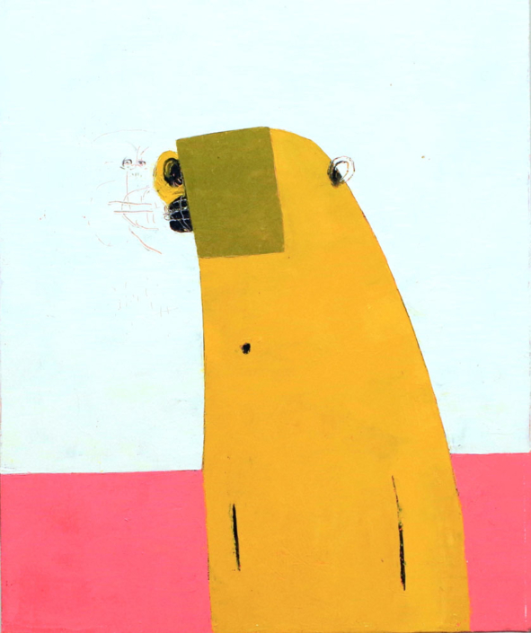 Animals_yellow monk